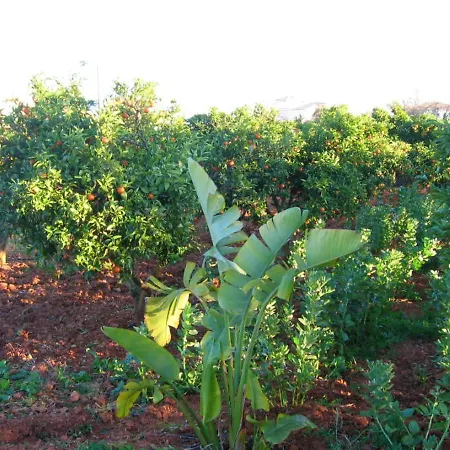 Villa 4 Bedrooms With Private Pool Enclosed Garden And Wifi At Silves