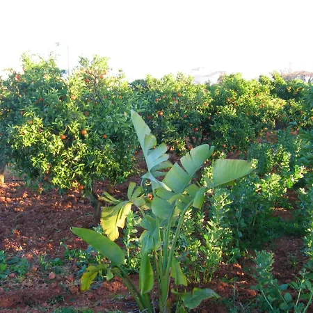 Villa 4 Bedrooms With Private Pool Enclosed Garden And Wifi At Silves